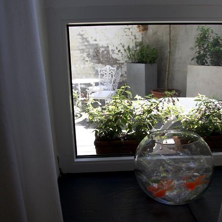Apartment Miro Colonia Esterno foto